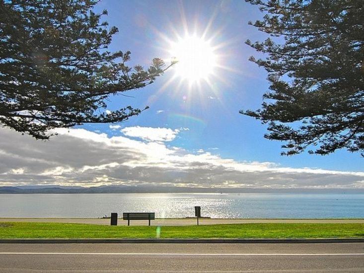 Beach House Studios Napier Luaran gambar